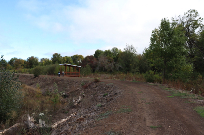 Kingfisher Marsh Loop Trail with natural surface and loose gravel – covered viewing platform
